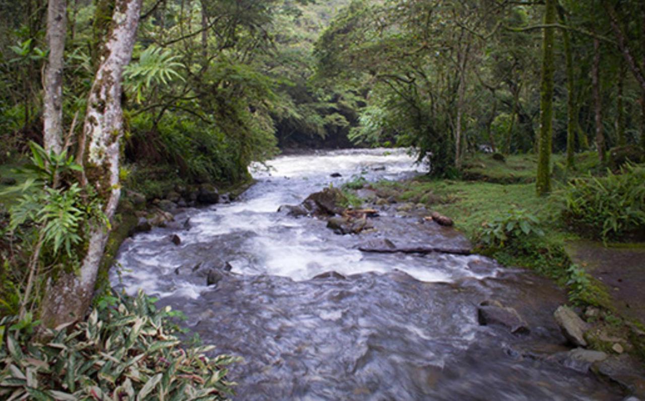 Finca Villa Chalet Del Rio Cali Farm Villa Chalet Cali River Exterior foto